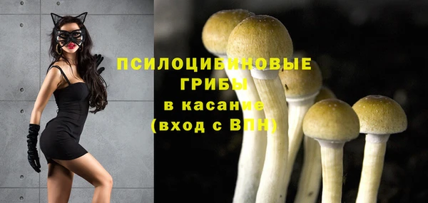 первитин Абинск