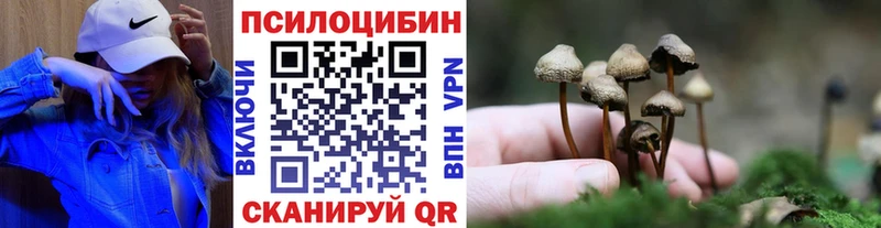 где купить наркотик  Энем  Галлюциногенные грибы Magic Shrooms 