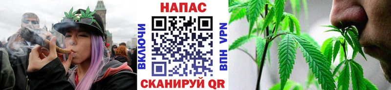 Каннабис MAZAR Энем