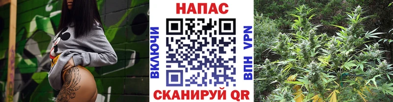 Канабис THC 21%  купить наркотики цена  Энем 